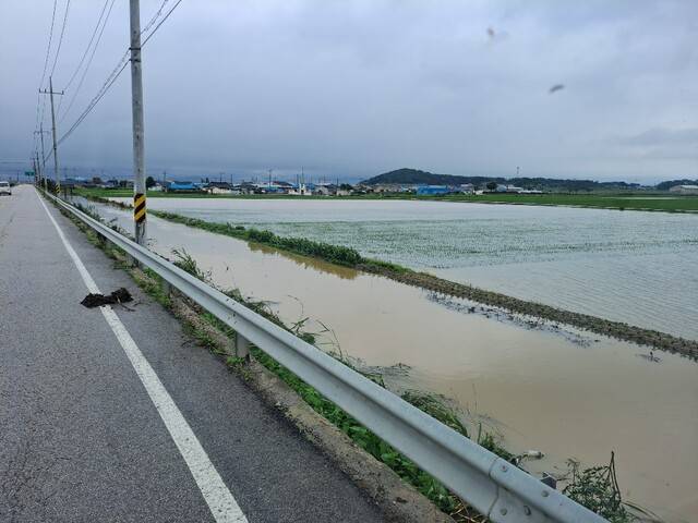 전북 부안군 계화면에서 논이 장마로 물에 잠겨 있다. 농민신문DB