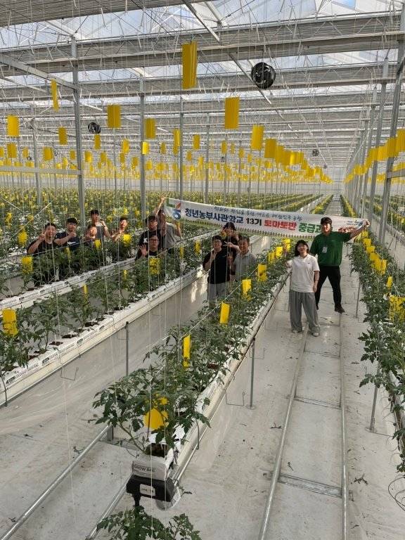 농협중앙회 창업농지원센터가 운영하는 청년농부사관학교 ‘토마토 중급반’ 현장 학습에 참여한 청년농들. 농협중앙회 제공