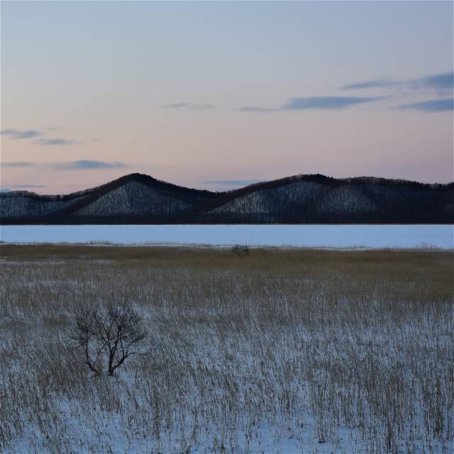 임창곤, 삿포로.