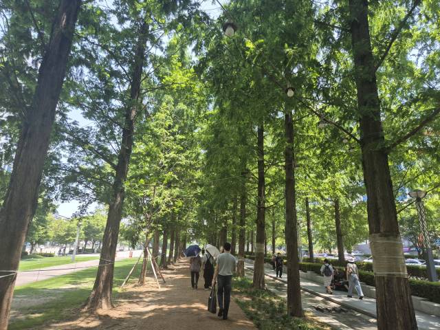 유동 인구가 많은 부산 부산진구 전포동 송상현광장에서 지난달 29일 한 여성이 흉기로 시민들을 위협한 사건이 뒤늦게 알려졌다. 18일 송상현광장을 거니는 시민들. 김동우 기자 friend@