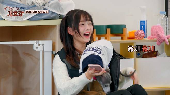 예능 ‘집 나가면 개호강’ 아이브 레이 (제공: JTBC)