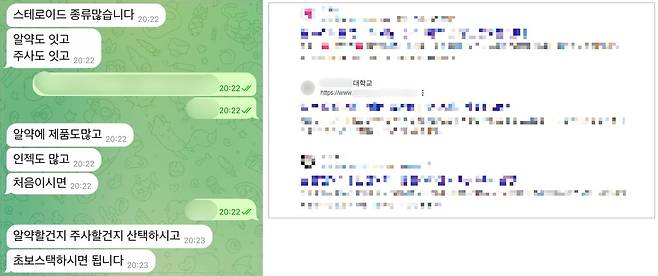 (왼쪽) A대학 게시판에 올라온 광고글 속 텔레그램 아이디에 연락하자 약물 판매를 안내하는 답장이 돌아왔다. (오른쪽) 게시글은 삭제됐지만, 포털 검색창에는 여전히 A학교 게시판에 올라온 게시글이 노출되고 있다. /이호준 기자