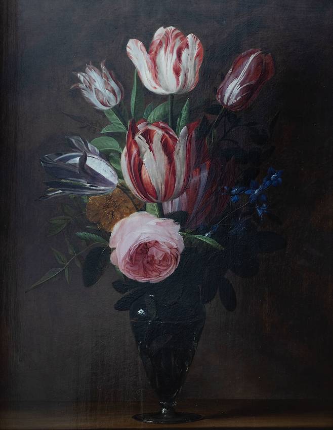다니엘 세이거스 ‘꽃병에 꽂힌 꽃’. 줄무늬 튤립은 매우 비싸 튤립 구근 하나가 당시 집 한 채 값까지 치솟기도 했다고 한다. Daniel Seghers, Flower in a vase, oil on oak panel, pre-1661, 51 x 39,2 cmJohannesburg Art Gallery, Johannesburg