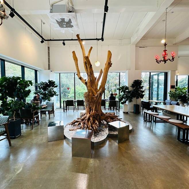 로스팅타이거2.jpg 제에에에발 양평 좀 그만와라(맛집 조금 추천)