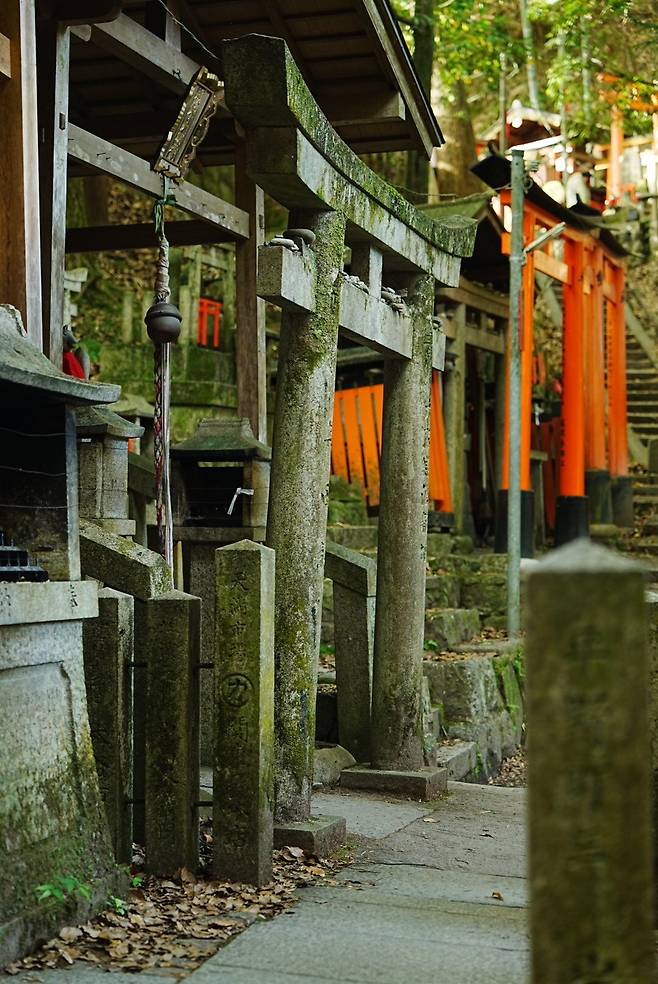 DSC02849.JPG (스압) 간사이 여행 사진