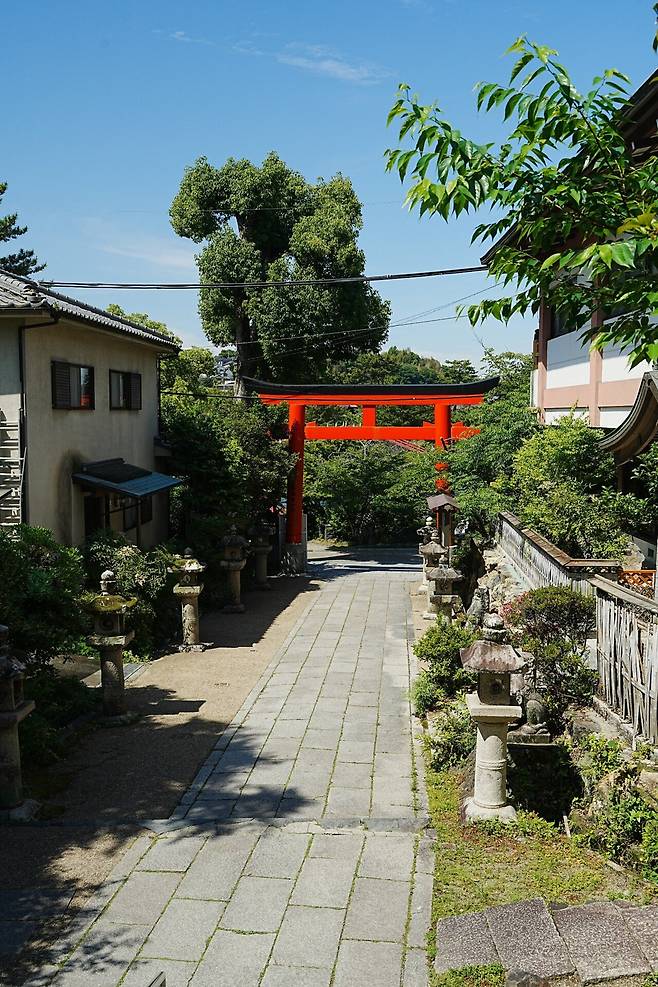 DSC02997.JPG (스압) 간사이 여행 사진