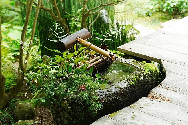 DSC03259.JPG (스압) 간사이 여행 사진