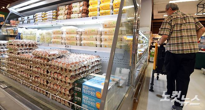 서울 시내 한 대형마트를 찾은 소비자가 계란을 고르고 있다. 황진환 기자