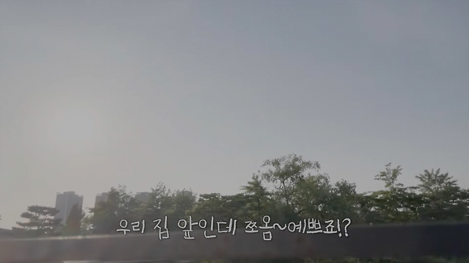 이하정 유튜브 채널 캡처