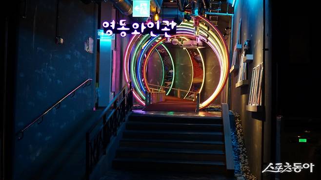 영동의 대표 산물로 자리잡은 와인의 역사와 이모저모, 시음까지 할 수 있는 영동와인터널의 전시관 영동|김재범 기자 oldfield@donga.com