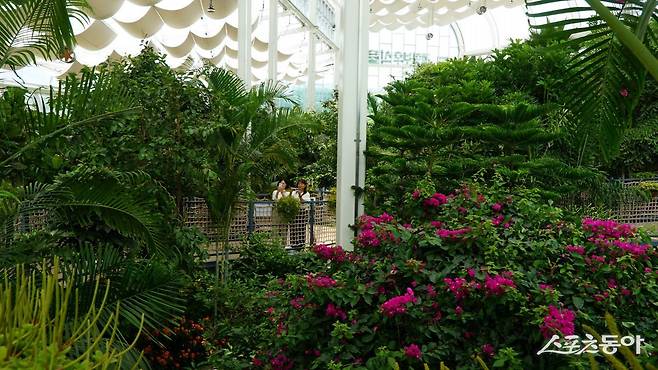 영동 과일나라테마공원 안에 있는 레인보우 식물원. 아열대 식물 213종 1만3000주가 있다 영동|김재범 기자 oldfield@donga.com