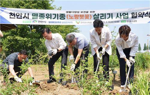 노랑붓꽃 서식지 조성작업 하는 김석필 시장 권한대행(왼쪽 2번째)과 관계자들 [천안시 제공. 재판매 및 DB 금지]