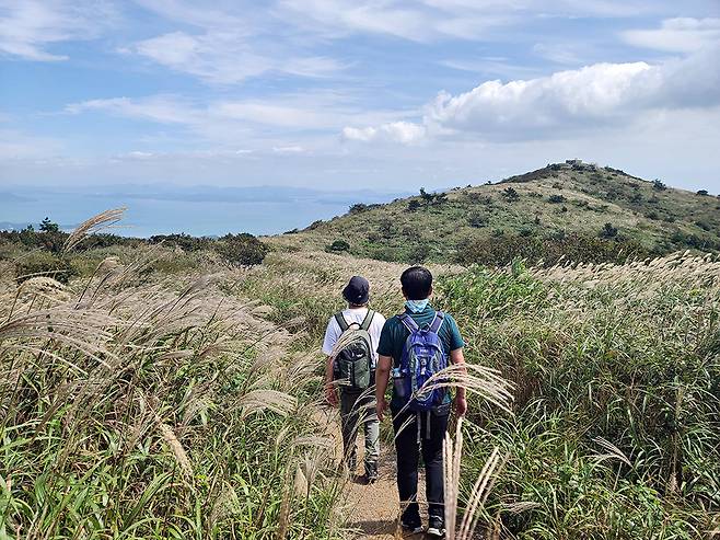 장흥군의 관광·먹거리·특산품을 대표할 ‘9경·9미·9품’로 선정된 한우삼합, 정남진 편백숲 우드랜드, 해동사 전경, 천관산 풍경. <장흥군 제공>