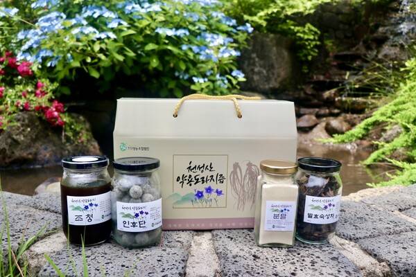 772영농에서 생산·판매하는 천성산약용도라지 즙·조청·인후단·분말·발효숙성차 제품. /이현희 기자