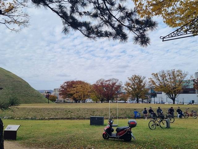 일제강점기에 발굴되면서 금관이 출토된 서봉총과 데이비드총이 평평하게 봉분의 모습을 잃고 있다.