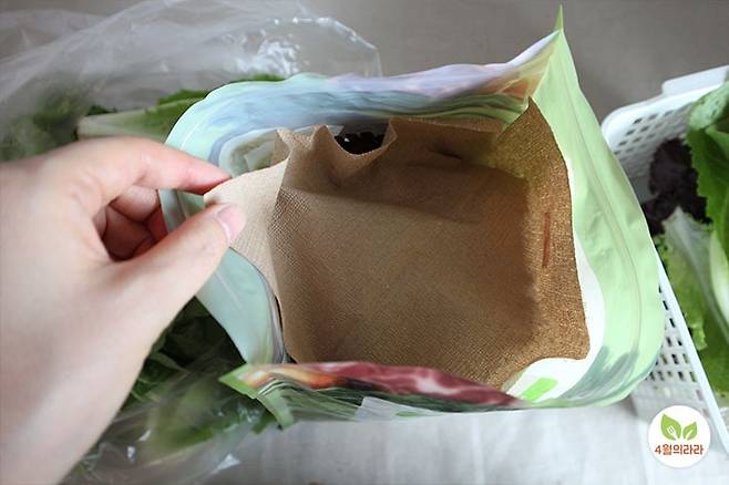 지퍼백에 쌈채소를 넣은 모습