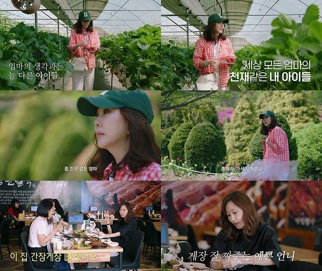 사진|안목의 여왕