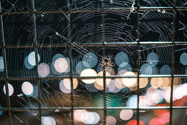 058f8070b18169f47cff9ee75f9f2e2de57333361b82446dd8a0a770a35f