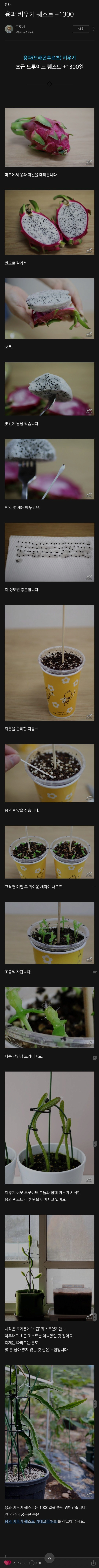 image.png 1300일만에 용과 꽃 피운 드루이드 ㄷㄷ...jpg