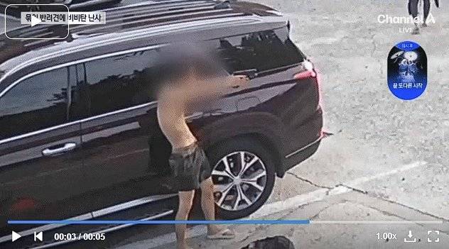 K-20250619-222705334.jpg 비비탄으로 개 쏴죽인 해병대원들 형량 예상