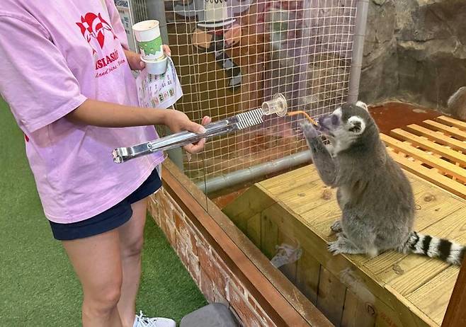 울산의 ㄷ동물원은 먹이주기 체험 시간을 정해두고 있었지만, 사육장 ‘먹이 구멍’이 항상 열려있어 무제한 급여가 이뤄지고 있었다. 이런 무제한 먹이체험은 동물의 건강에 악영향을 미칠 수 있다. 김지숙 기자