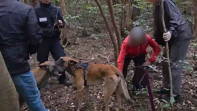 제주경찰청 채취견 디아블로·페르난도가 실종 치매노인을 발견한 모습 (제주경찰청 제공)