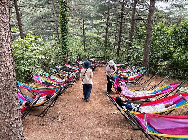 Travelers nap in hammocks during the package tour Choncance by the travel agency Jigu-noriter. [JIGU-NORITER]