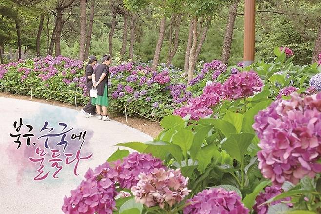 사진 = 부산 북구