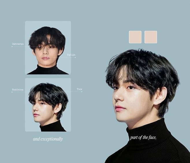 미국 코브스 스튜디오가 방탄소년단(BTS) 뷔(V) 외모를 과학적으로 분석했다. /사진=인스타그램 갈무리
