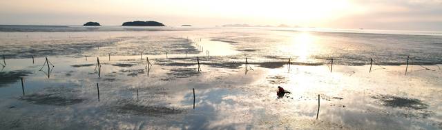 고창군 심원면 만돌리의 서해안바람공원 앞 갯벌 너머로 해가 지고 있다. 저물 무렵, 고창의 바다 어디든 가면, 이런 경관을 만날 수 있다.