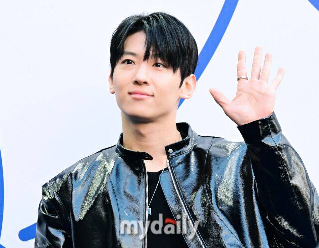 덱스 / 마이데일리