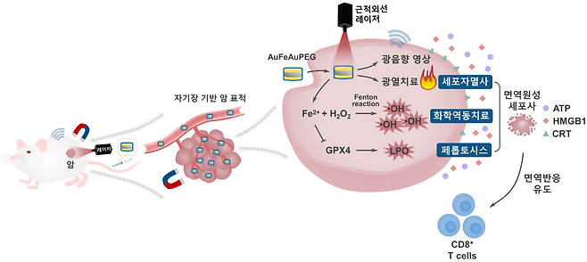 다기능성 나노물질의 치료 플랫폼 모식도.[KRISS 제공]