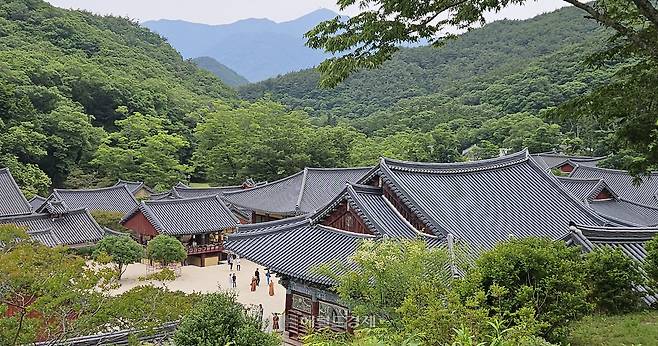 전남 순천시 송광사 전경