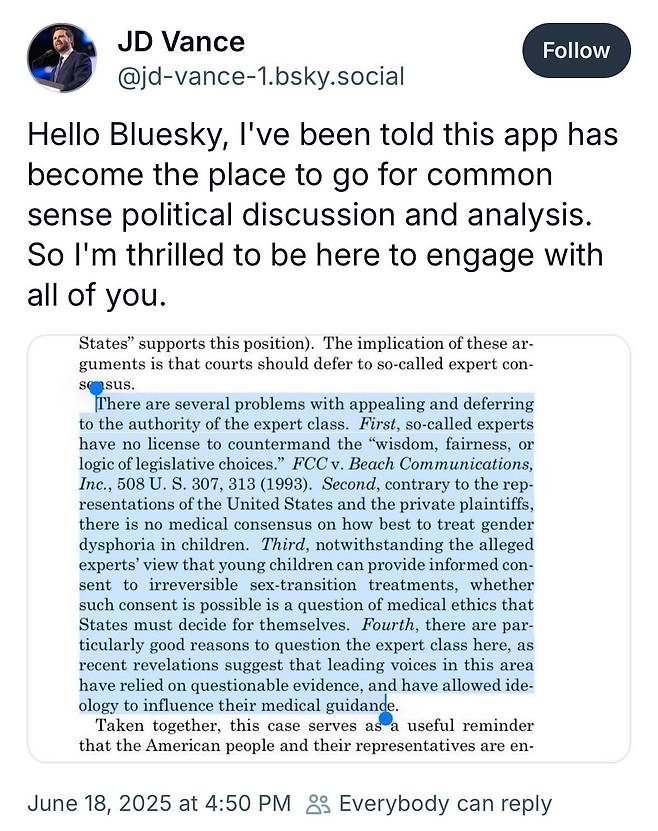 18일(현지시간) JD 밴스 미국 부통령이 소셜미디어 블루스카이에 올린 게시글. [인터넷 캡처]