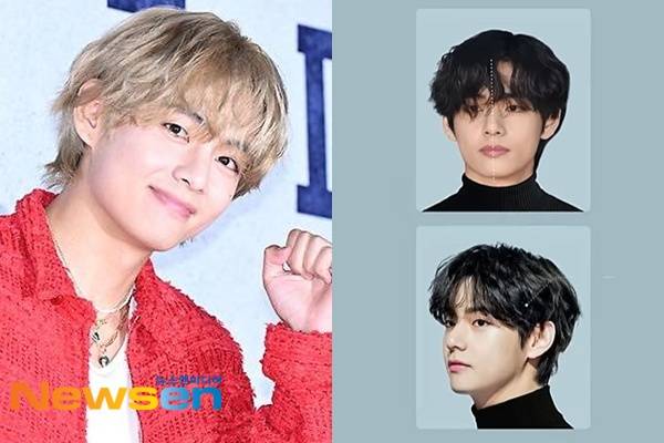 뉴스엔DB, 코브스스튜디오 채널 캡처