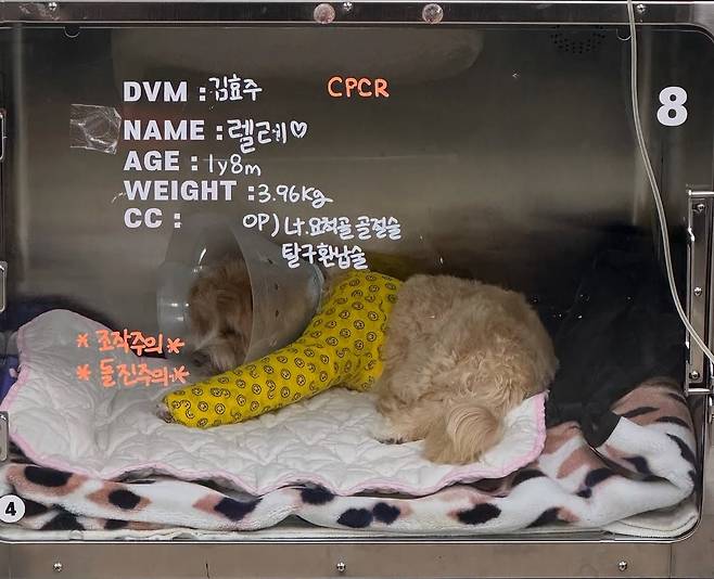 한예슬 인스타그램 캡처.