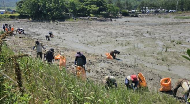 갯줄풀　제거 작업 [다도해해상국립공원서부사무소 제공·재판매 및 DB 금지]