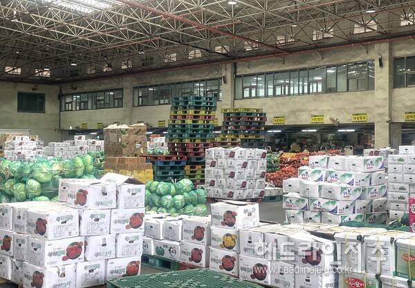 제주시 농산물공판장.