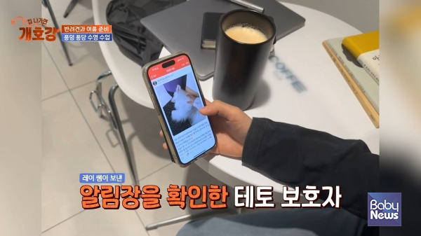 영유아 교육기관 전문 플랫폼 키즈노트(대표 최장욱)가 JTBC의 인기 예능 프로그램 '집 나가면 개호강'을 통해 강아지 유치원에서도 활발히 활용되는 모습을 선보이며 주목받고 있다. ⓒ키즈노트