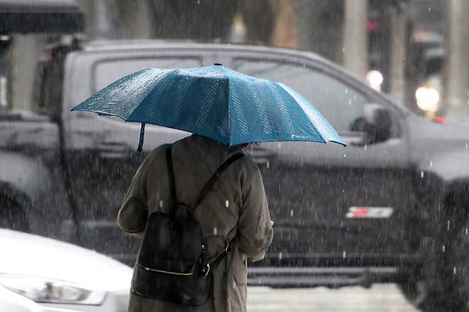 16일 오전 대구 수성구 달구벌대로에 많은 비가 쏟아지자 횡단보도를 건너는 시민들이 우산을 펼쳐 비를 피하고 있다. (사진=뉴스1)