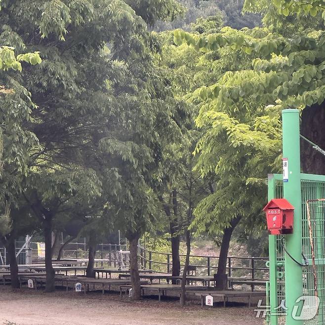 경기 연천군 아미천 동막계곡 일대 하천변으로 가는 길을 통제하고 영업을 벌이는 음식점. 2025.6.19/뉴스1 ⓒ News1 이상휼 기자