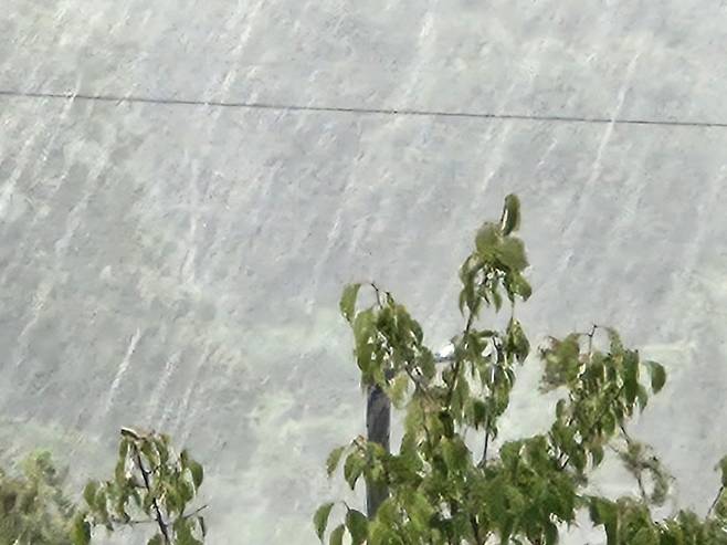 전국 돌풍·천둥번개…서울 시간당 50mm 폭우 [내일날씨]= 한 해 중 낮이 가장 긴 하지(夏至)이자 토요일인 내일(21일)은 전국이 흐리고 장맛비가 내리겠다.2025년 장마전선은 전국 대부분 지역에 돌풍과 천둥·번개를 동반한 매우 강한 비를 뿌리겠다. 오늘날씨, 내일날씨, 주간날씨 예보 ⓒbnt뉴스