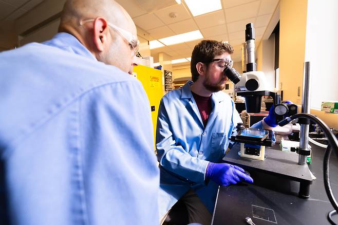 미국 네브래스카링컨대 화학과 브레넌 왓츠 연구원과 스티븐 머린 교수가 현미경으로 시료를 살펴보고 있다. /리즈 맥큐 네브래스카링컨대