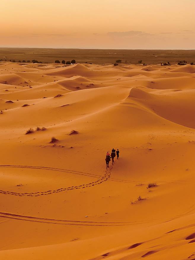 해가 지면서 주황색으로 변하는 사하라 사막에서의 모래언덕