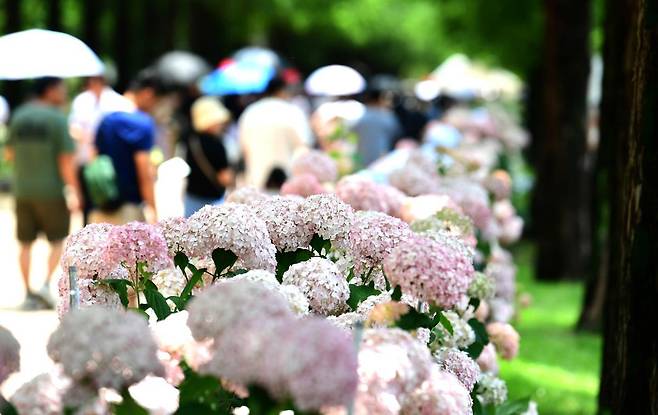 22일까지 경남 진주시 초전공원에서 열리고 있는 2025대한민국정원산업박람회. 진주시 제공
