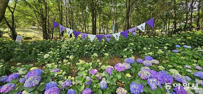 월아산 숲 속의 진주. 진주=김선미 기자 kimsunmi@donga.com