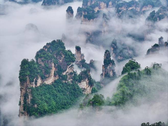 신비로운 자연미로 세계인의 사랑을 받은 ‘아바타 산’ 장자제 전경. (사진=게티이미지코리아)