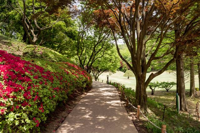 산책로 *사진은 해당 기사와는 관련 없음. [아이클릭아트 제공]