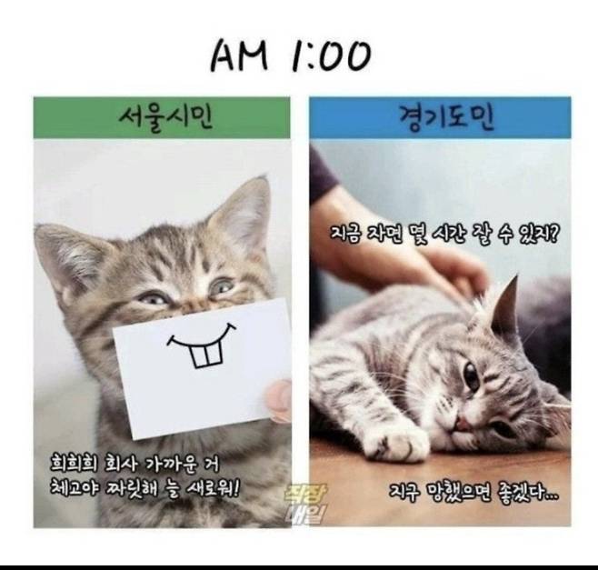 서울시민vs경기도민 출퇴근 차이