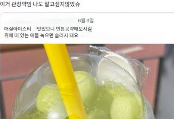 메가MGC커피의 ‘저당 매실 POP POP 아이스티’ 후기 글. /사진=엑스 캡처
